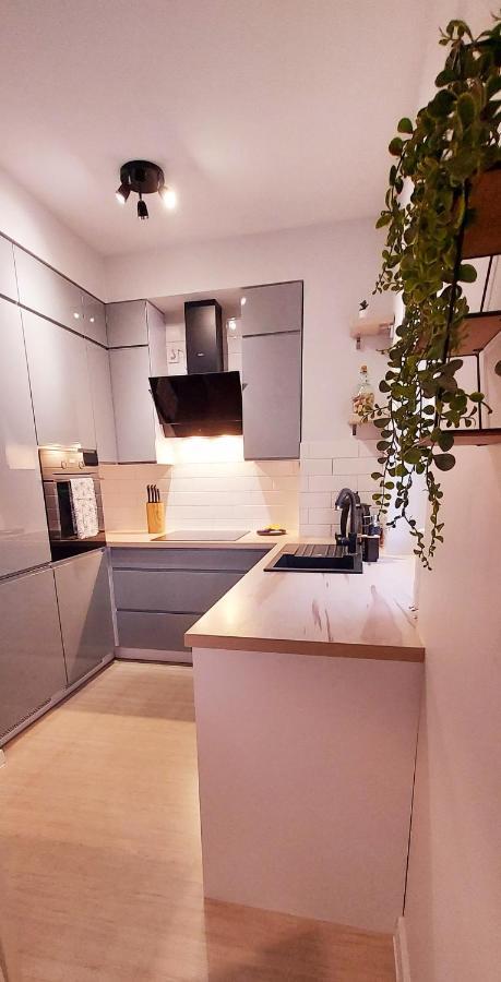 White Velvet Apartment Gorzow Wielkopolski Exterior photo